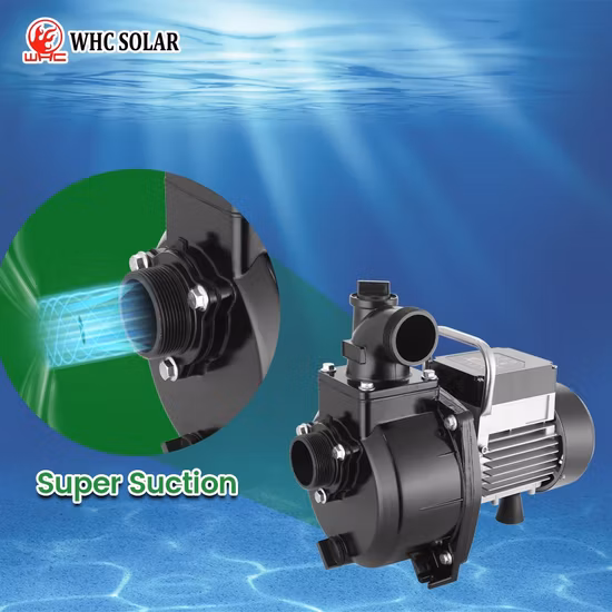 1,25 pouces 4 pouces C.C. Pompe à eau solaire de puits profond submersible C.A.