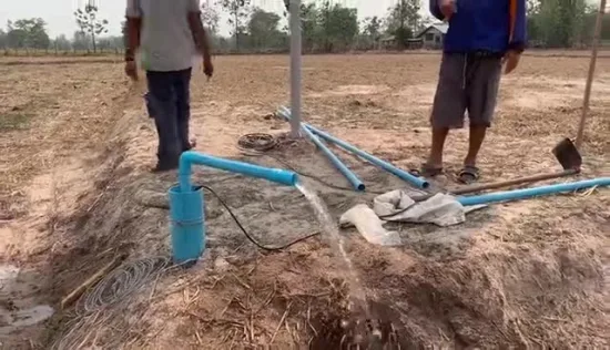 Pompes solaires submersibles à haute pression pour puits profonds à vis Qjd AC/DC avec panneau solaire pour l'irrigation agricole